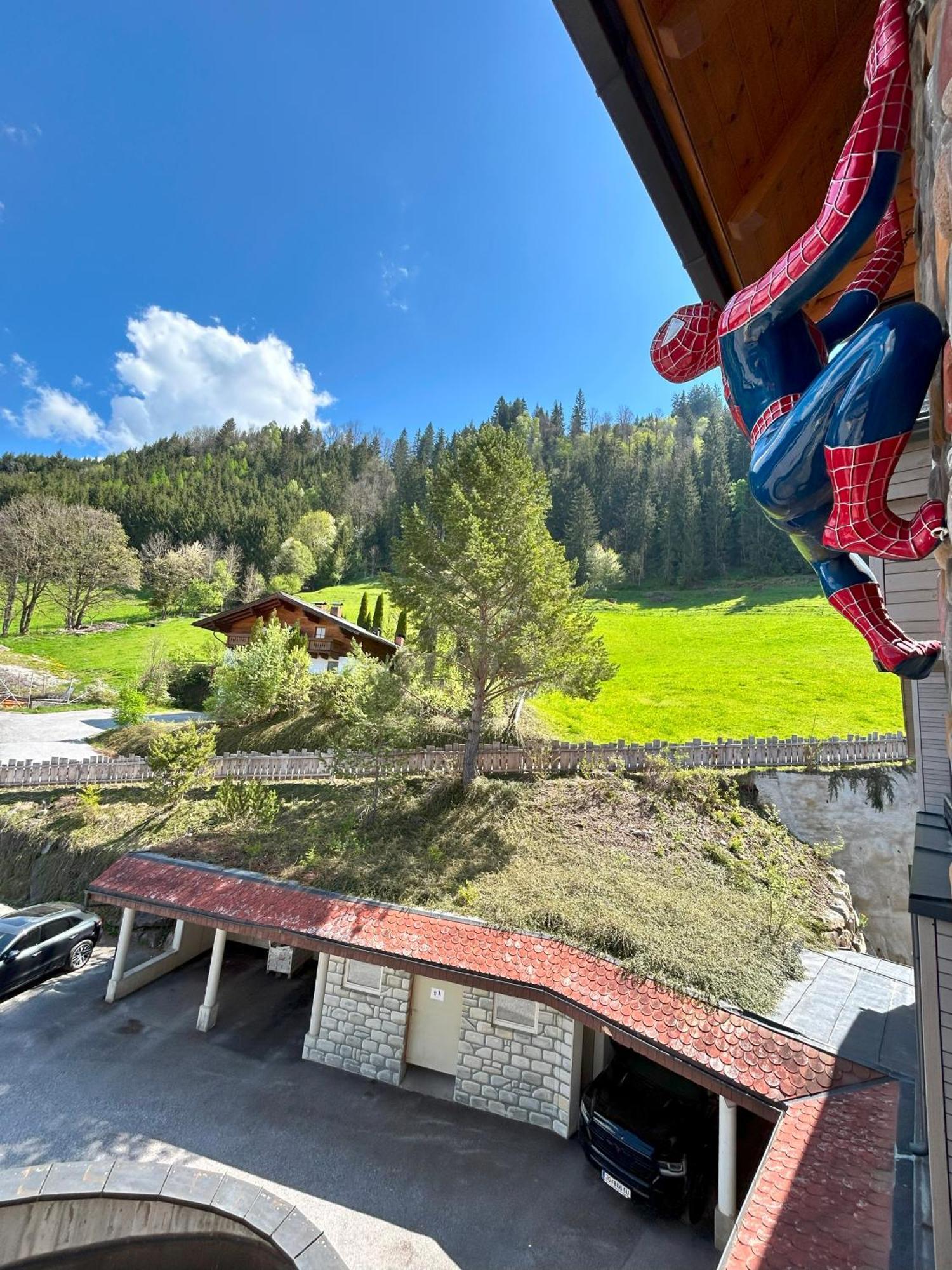 Weitenmoos Panorama Apartments Sankt Johann im Pongau Zewnętrze zdjęcie